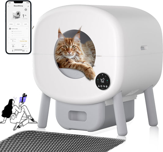 Automatic Cat Litter Box